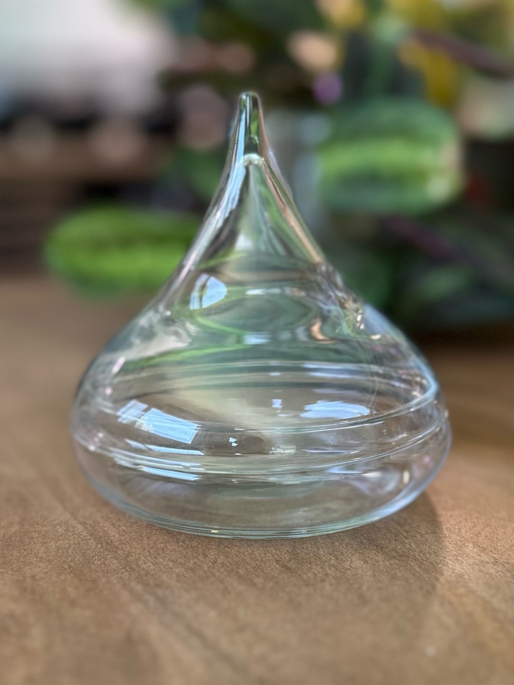 Clear Glass Tear Drop Cloche Covered Jewelry Dish Trinket Box Display